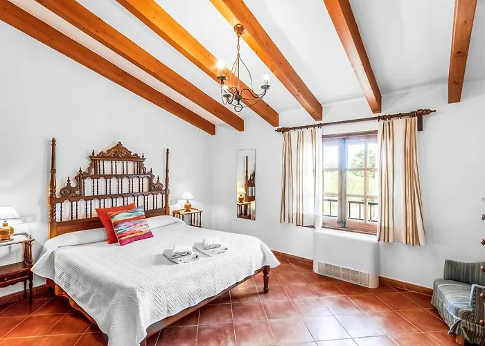 Rei Petit * Pollença